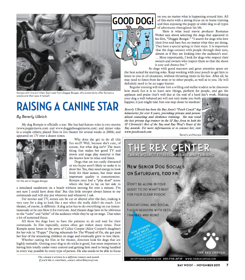 Articles - Bay Woof Magazine
